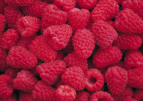 Малиновая подборка