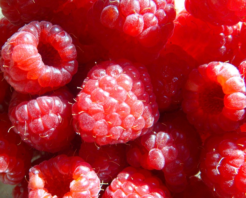 Малиновая подборка