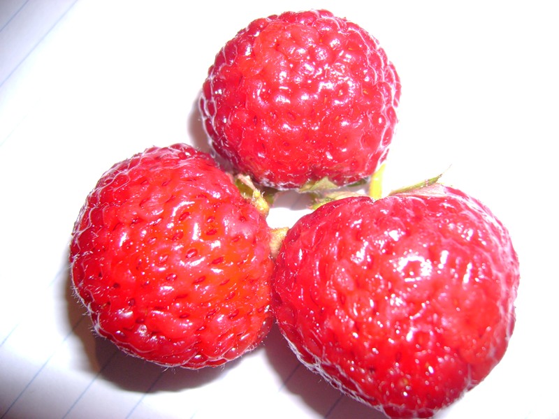 Малиновая подборка