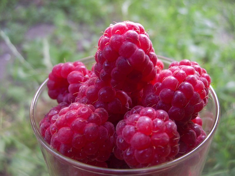 Малиновая подборка