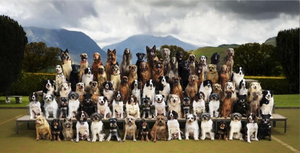 Креативчек