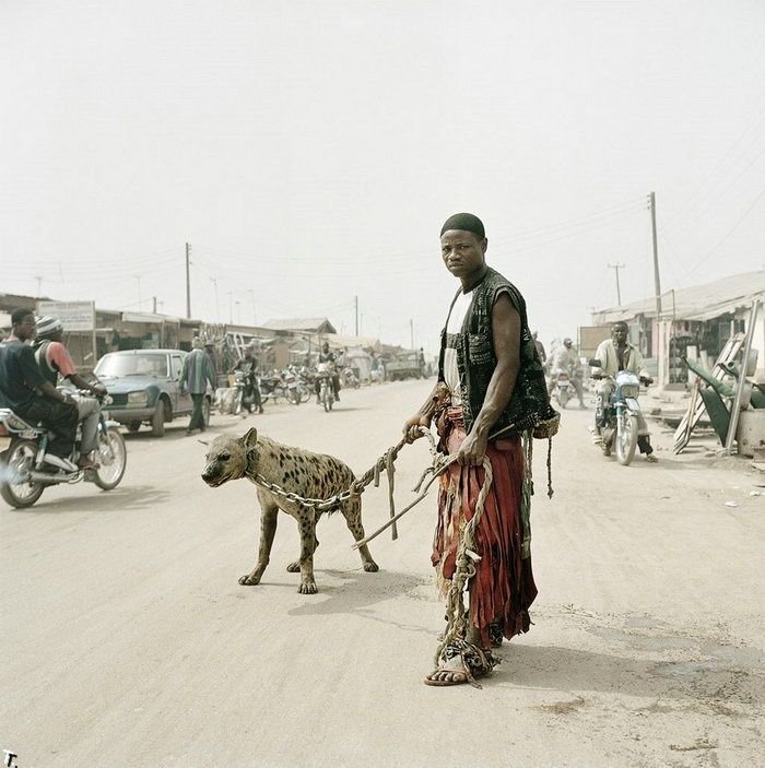 Африканские домашние животные