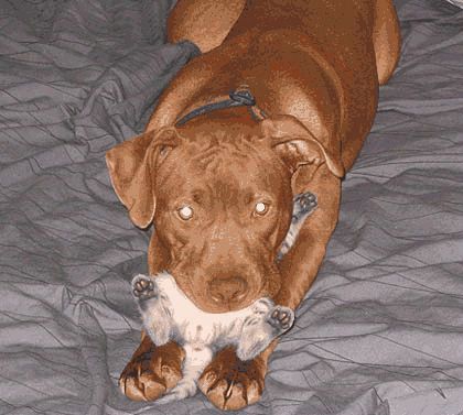 Это любофь)