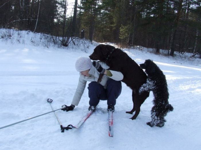 Это любофь)