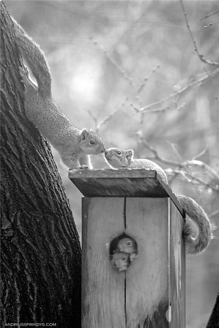 Это любофь)