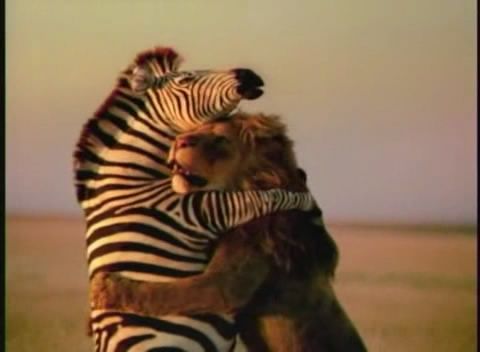 Это любофь)