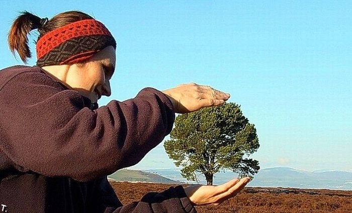 Нужный ракурс