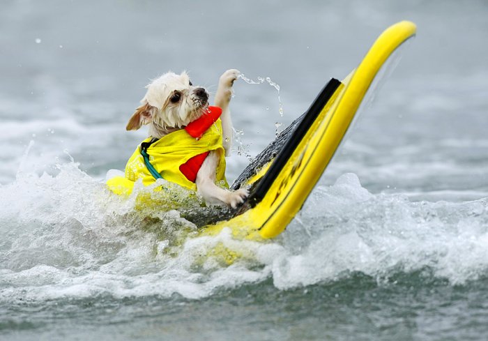 Спортивные моменты