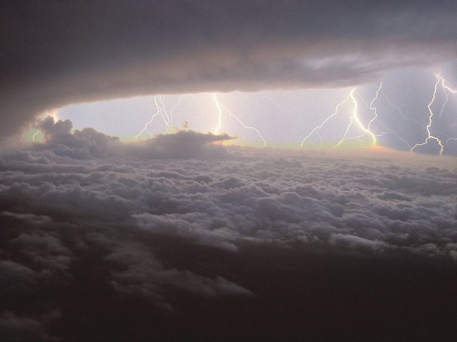 Буйство природы