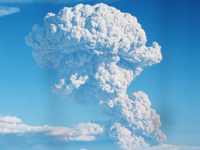 Буйство природы