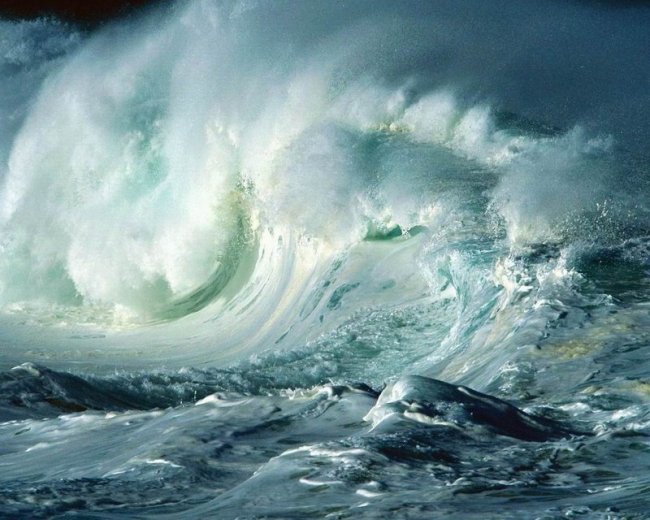 Буйство природы