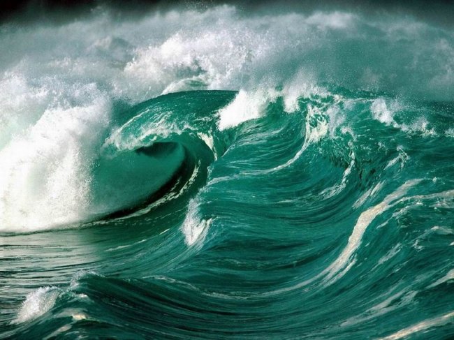 Буйство природы