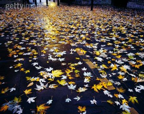 Осень (31 фото)