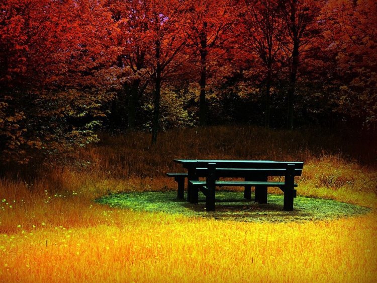 Осень (31 фото)