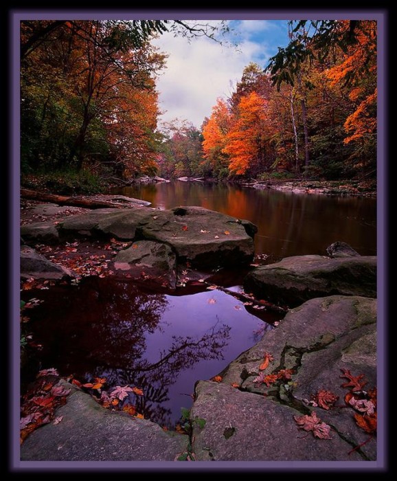 Осень (31 фото)