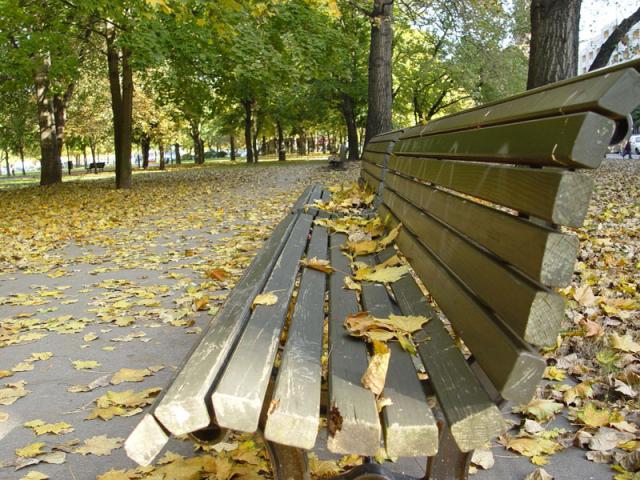 Осень (31 фото)