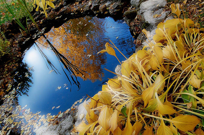 Осень (31 фото)