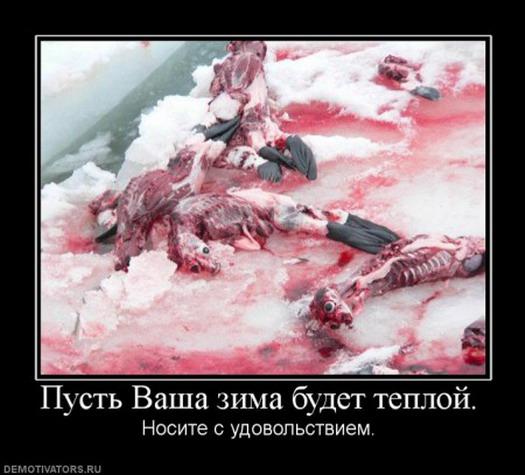 Демотиваторы