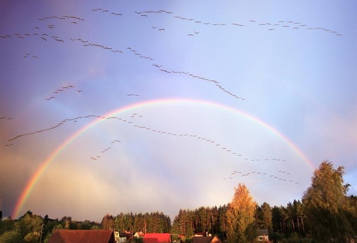 Осень в Латви (36 фото)