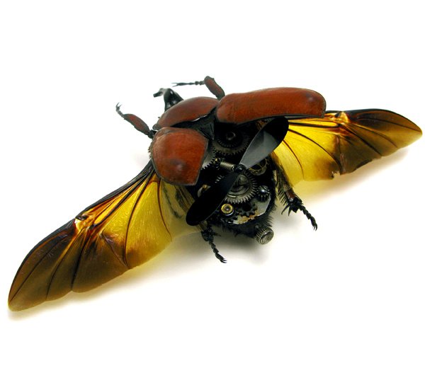 Стимпанк насекомые от Mike Libby