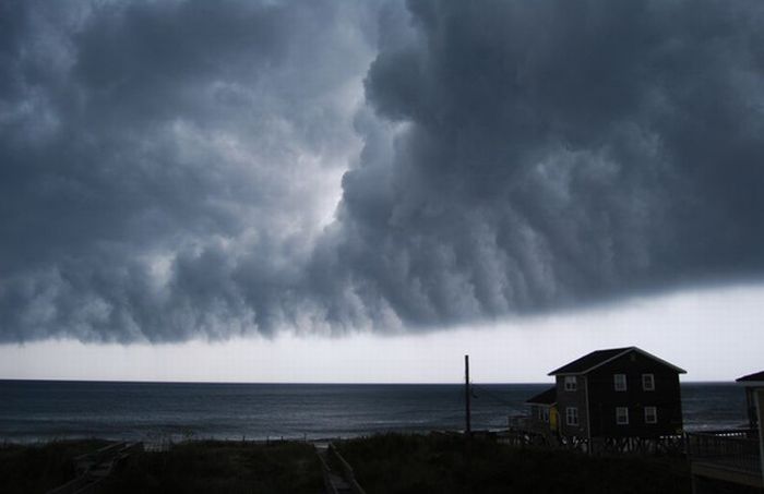 Утренняя глория