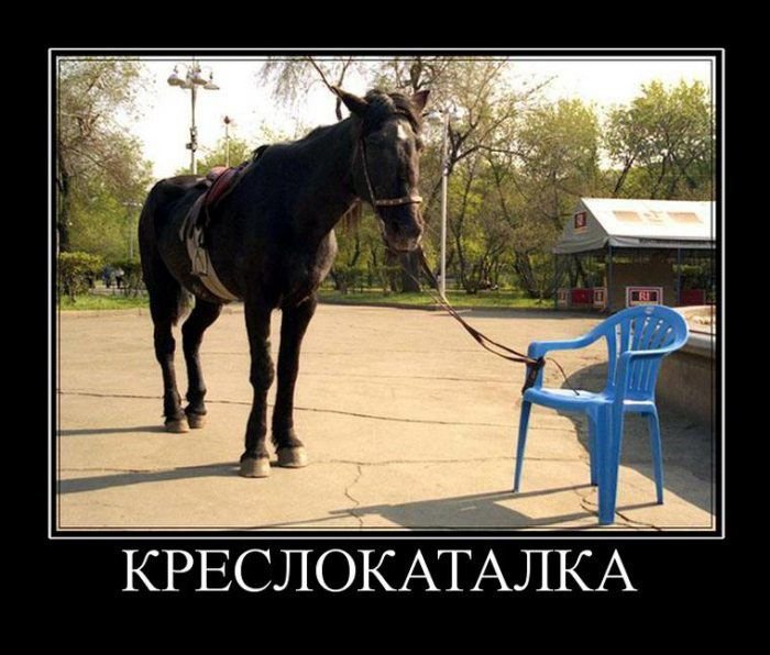 Демотиваторы