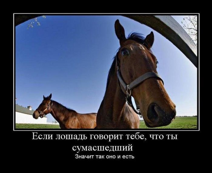 Демотиваторы