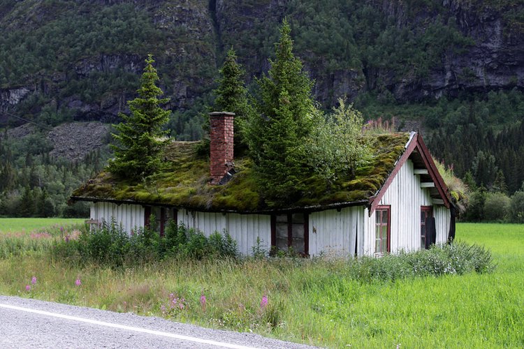 Крыши в Норвегии
