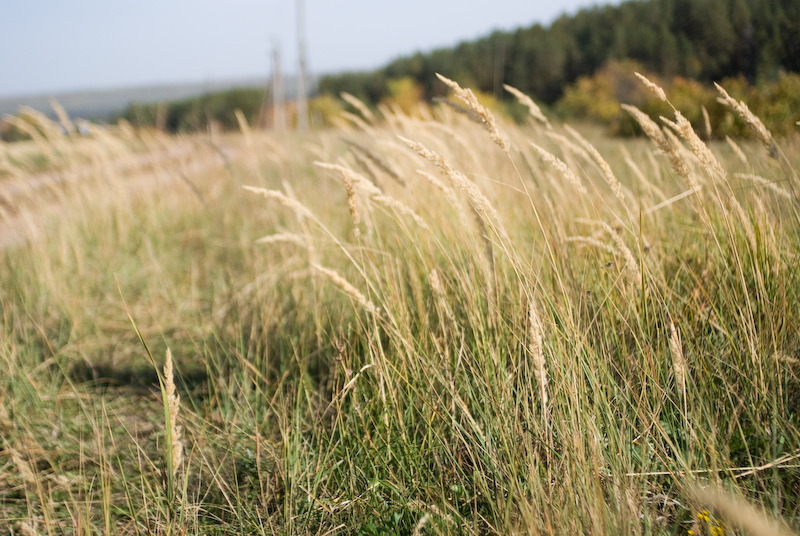 Осень (16 фото)