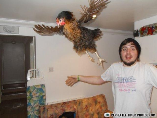 Лови момент