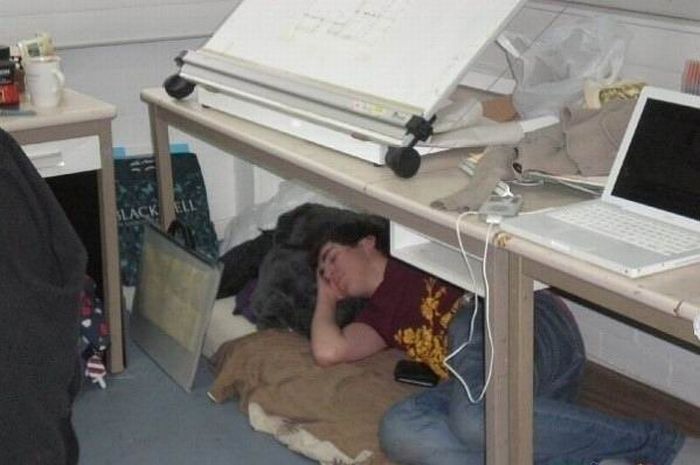 Спящие на работе
