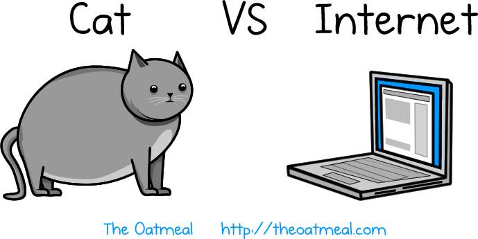 Кот против интернета