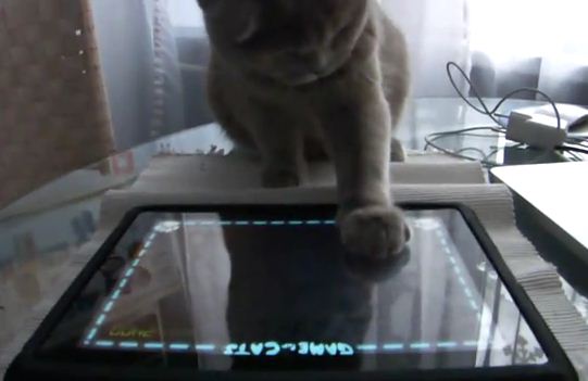 Первая игра для котов на iPad