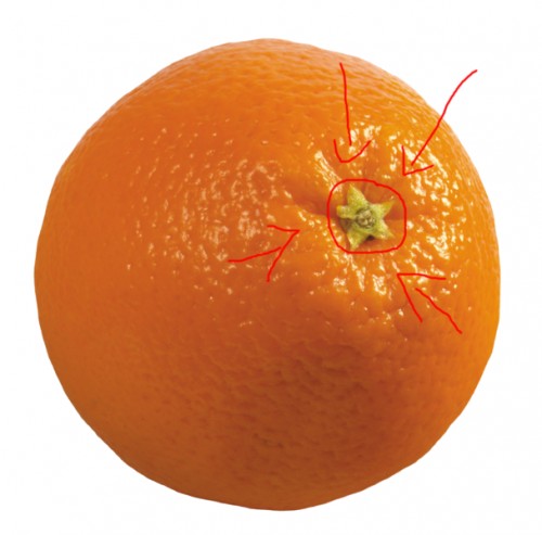Как узнать сколько долек в апельсине