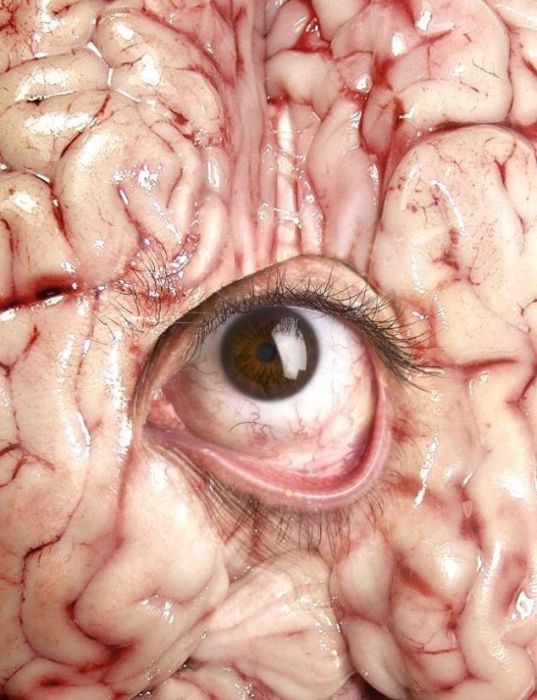 Неприятная реклама