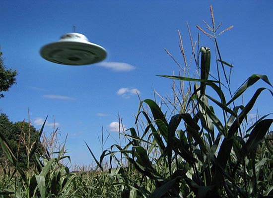 7 фактов о контактах с инопланетянами