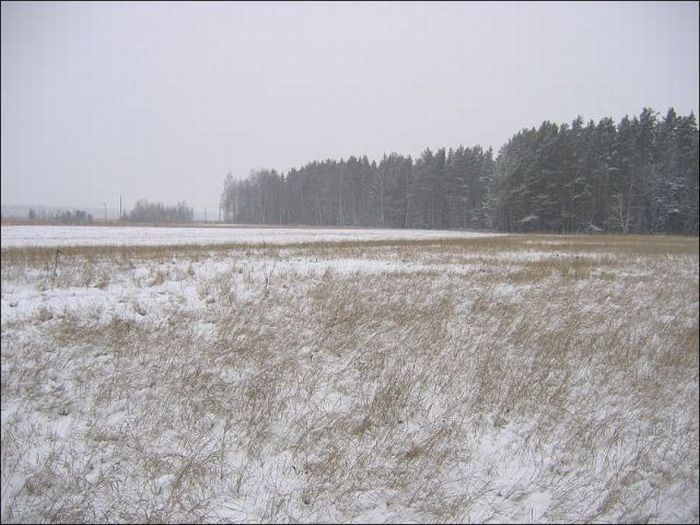 Бьем рекорды