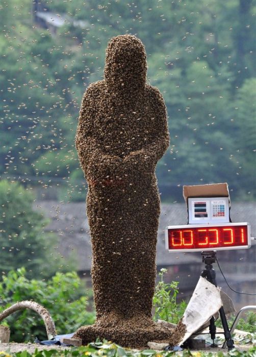 Человек-пчела из Китая