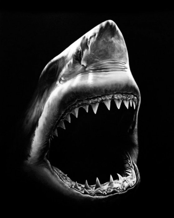 Рисованый акулы в момент атаки от Роберта Лонго