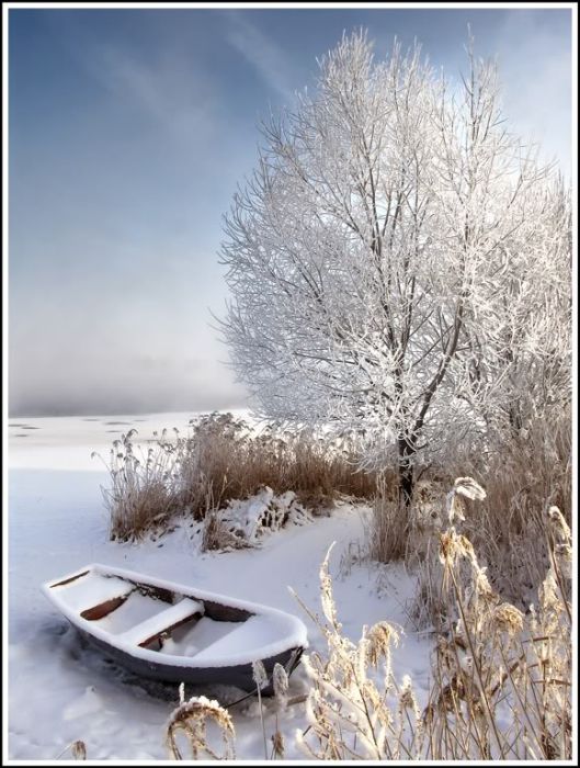 Зима в Шатуре от пользователя satorifoto