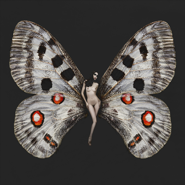 Девушки-бабочки Карстена Витте (18+)
