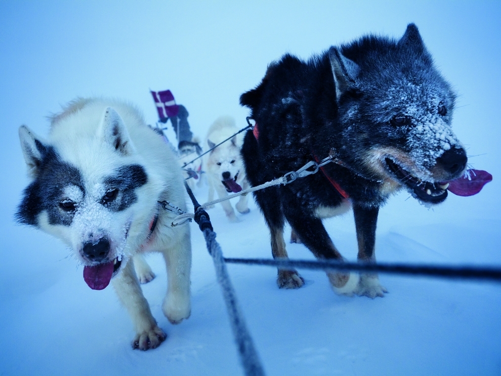 Лучшие фотографии от National Geographic Россия за декабрь 2011г