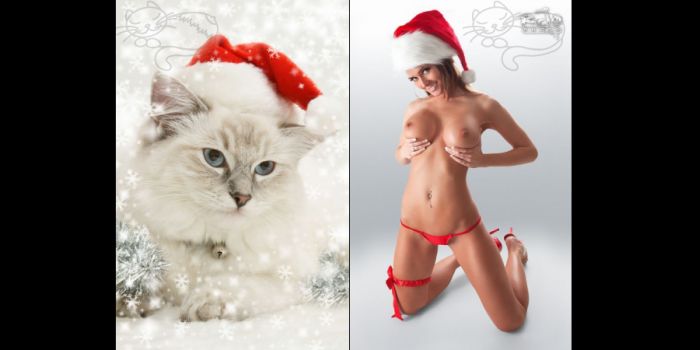 Девушки и кошки (18+)