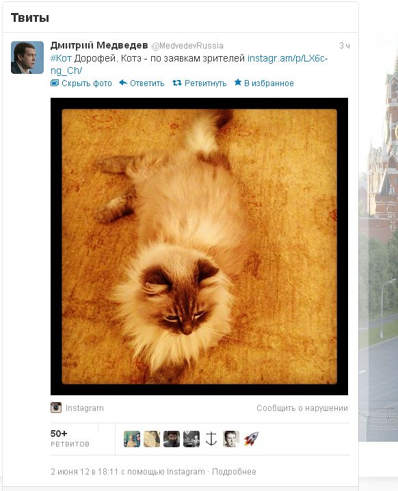 ДАМ выложил своего кота в твиттере
