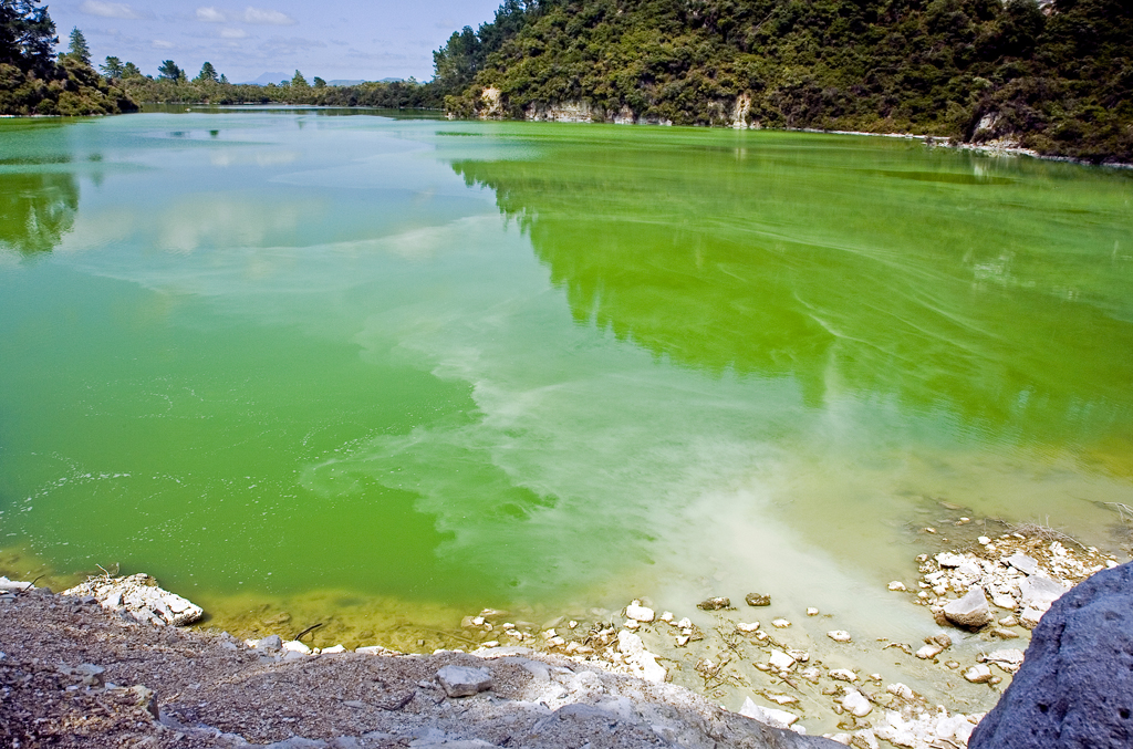 Почему позеленела вода. Озеро пяти цветов. Зеленое озеро. Зеленый водоем. Зеленая вода.