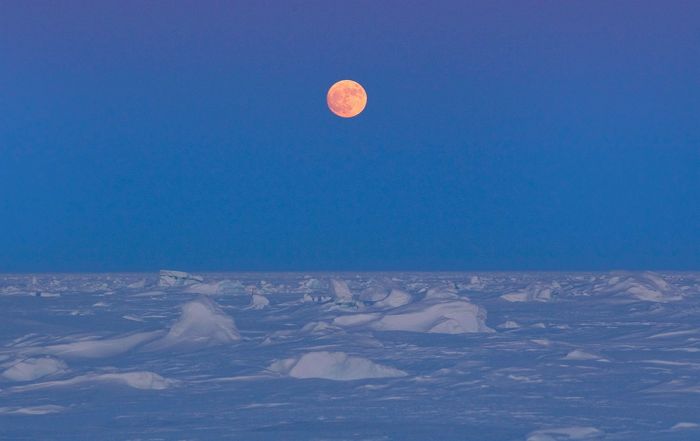 Арктика из фоторепортажа Лукаса Джексона