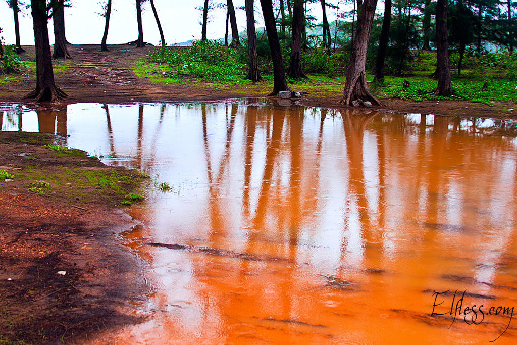 Гоа в сезон дождей: что происходит с тропическим раем