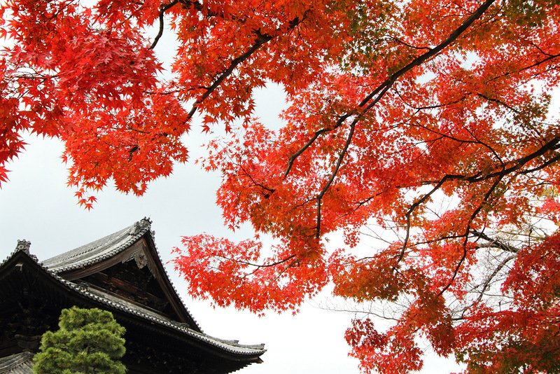 Осенний Киото — город храмов и монастырей