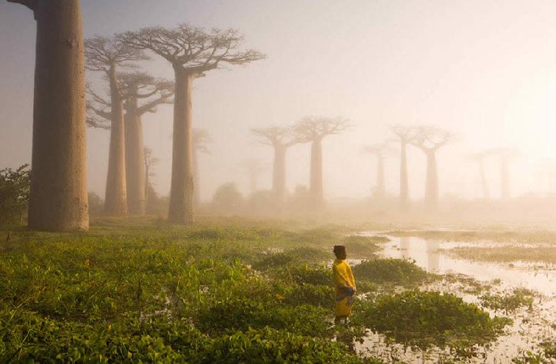 Мадагаскар, потрясающие фото с острова
