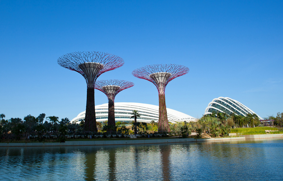 Сингапур превратился в город-сад